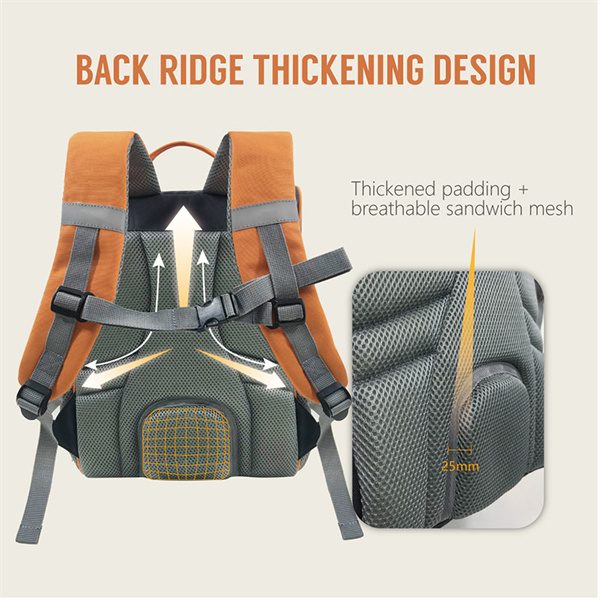 Back Ridge Thickening Design
